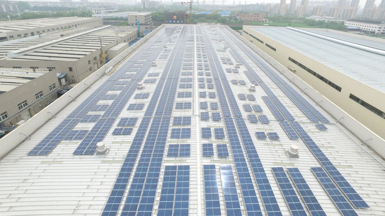 20240710095050_16457 巅峰国际官网-追求健康,你我一路成长